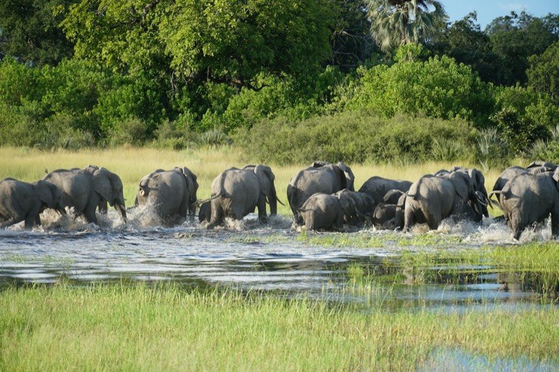 Botswana — Okavango Delta
