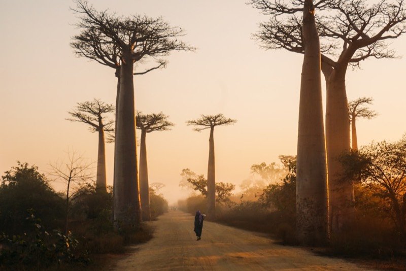 Madagascar — Antananarivo
