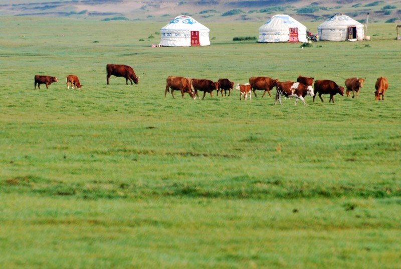 Mongolia — Ulaanbaatar