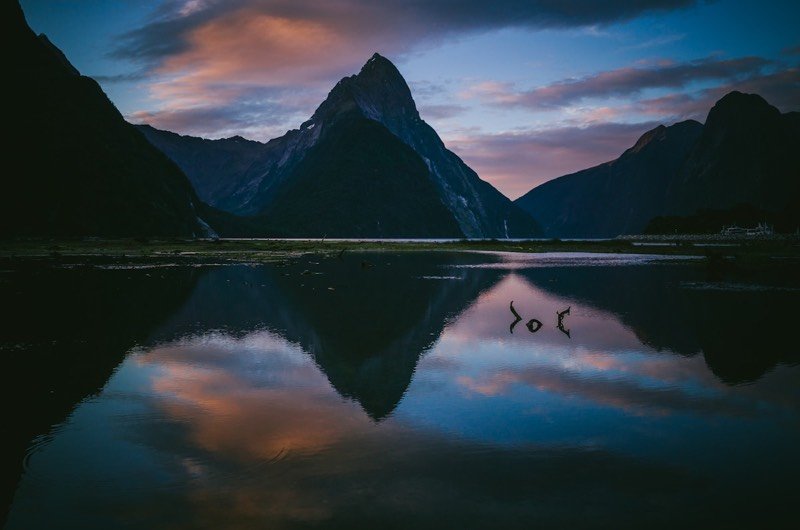 New Zealand — Auckland