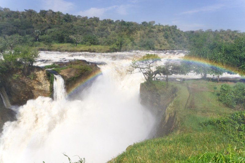 Uganda — Bwindi Impenetrable Forest